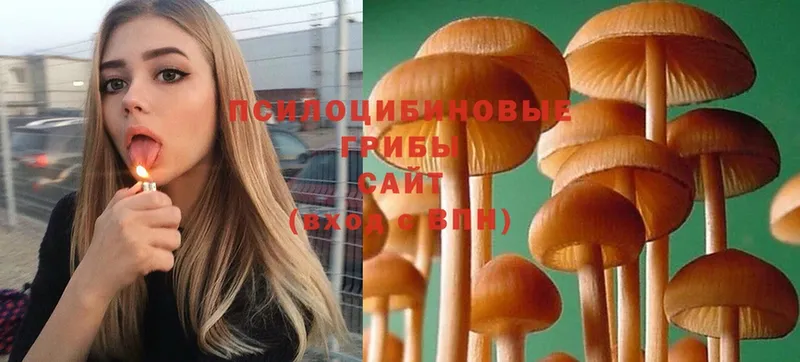 Псилоцибиновые грибы MAGIC MUSHROOMS  даркнет сайт  кракен ссылки  Конаково 